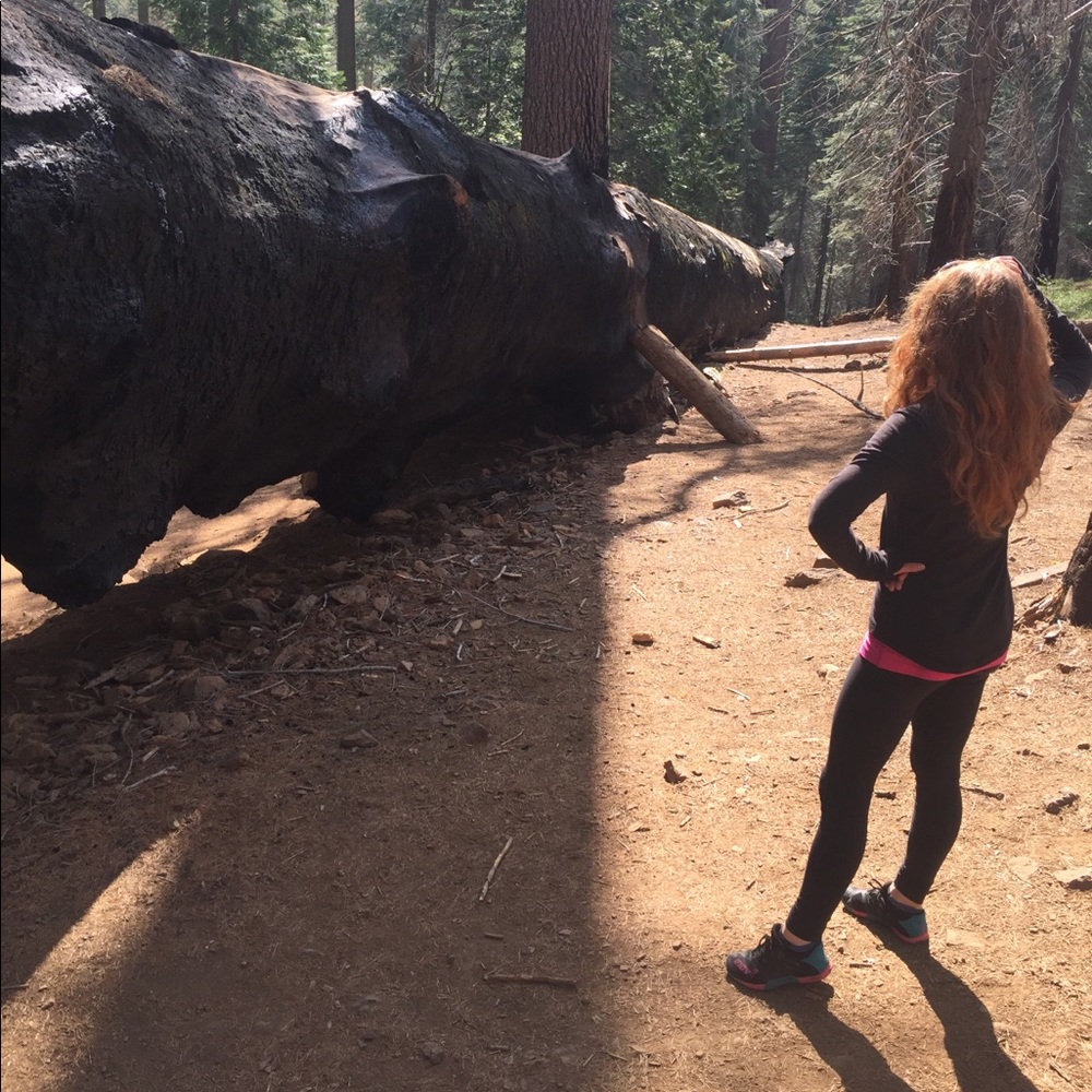 Meet your Posher, Stevie